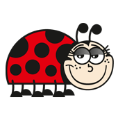 Marienkäfer